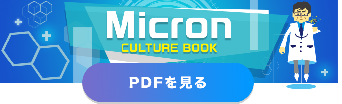 Micron CULTURE BOOK