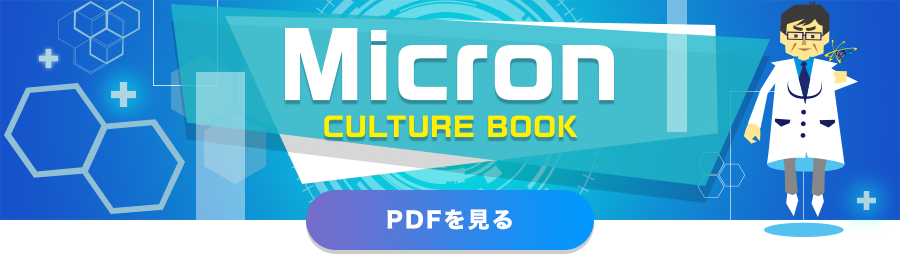 Micron CULTURE BOOK