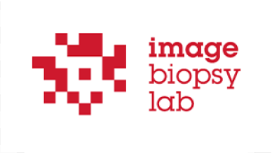 IB Lab GmbH (ImageBiopsy Lab)