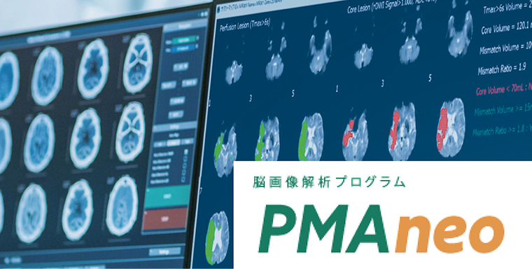 Brain Image Analysis Program PMAneo