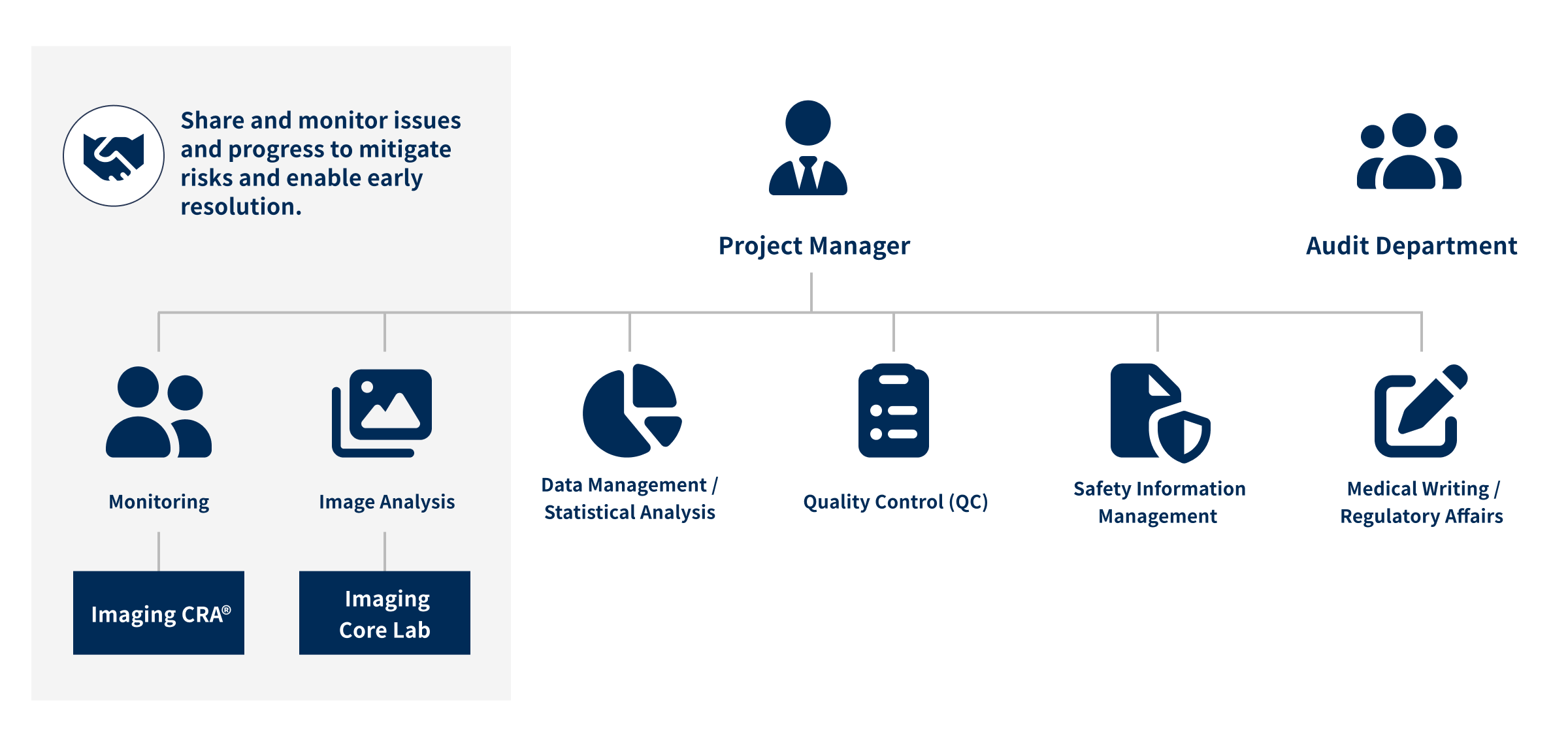 Project Manager Pharmacovigilance Imaging Analysis