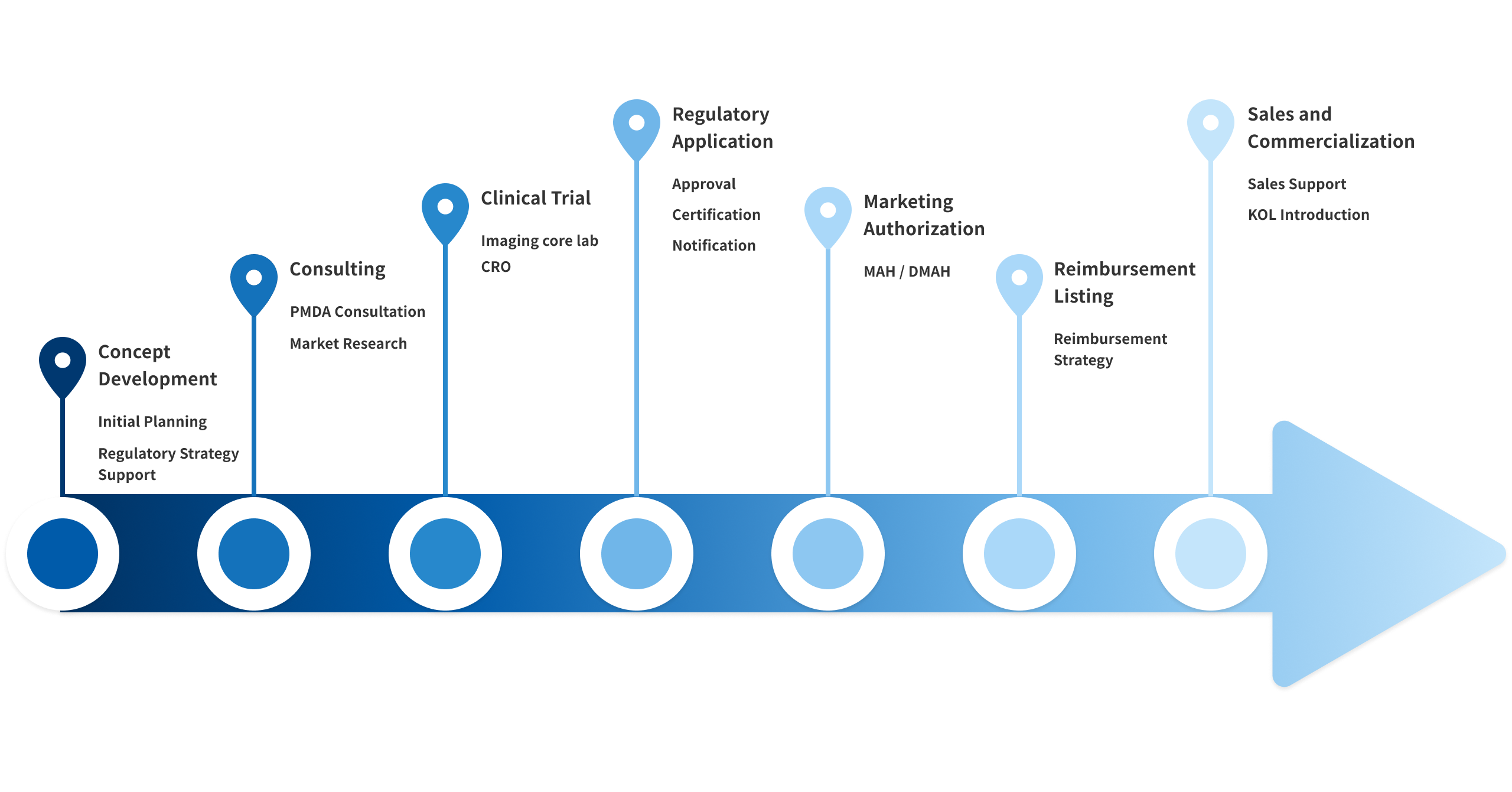 An overview of the pharmaceutical development lifecycle from concept to commercialization