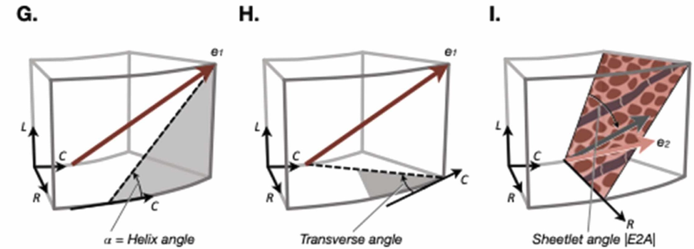 cDTI、HA、TA、E2A